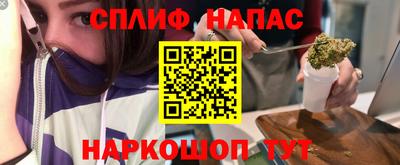 прущие грибы Малгобек