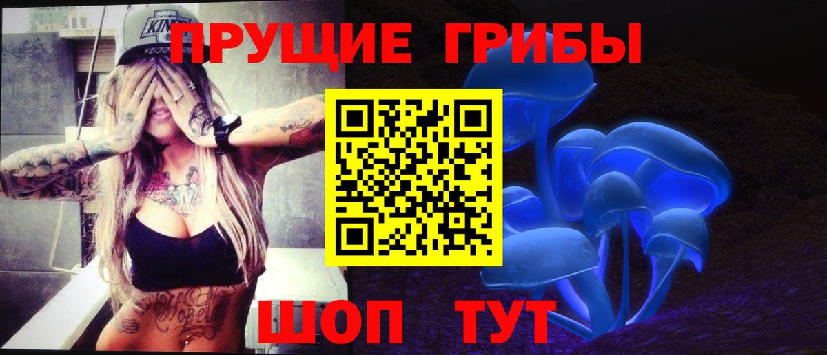 Тольятти  закладки  Вход с VPN  Псилоцибиновые грибы Psilocybine cubensis 